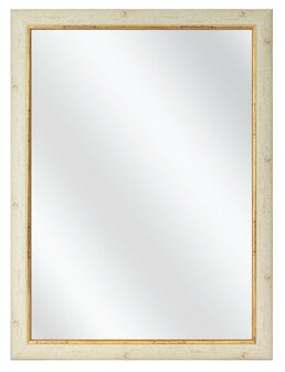 Glazen Spiegel met Luxe M46 lijst creme / goud kies uw standaardformaat