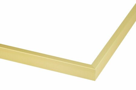 Aluminium Spiegel M109 mat champagne kies uw standaardformaat